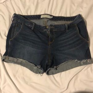 Torrid short shorts